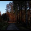 20141113_051